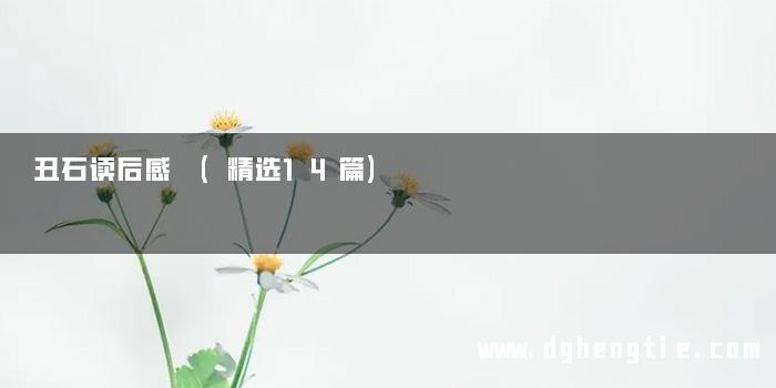 丑石读后感 (精选14篇)